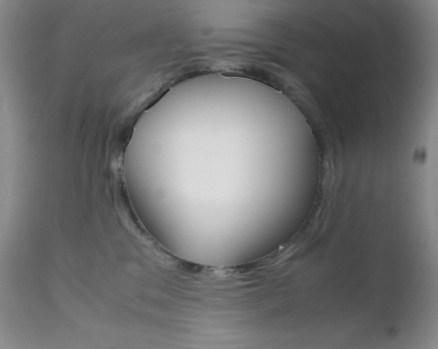 X0000111120329200906301047