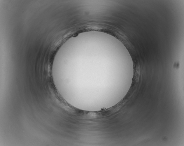 X0000111120330200906301047