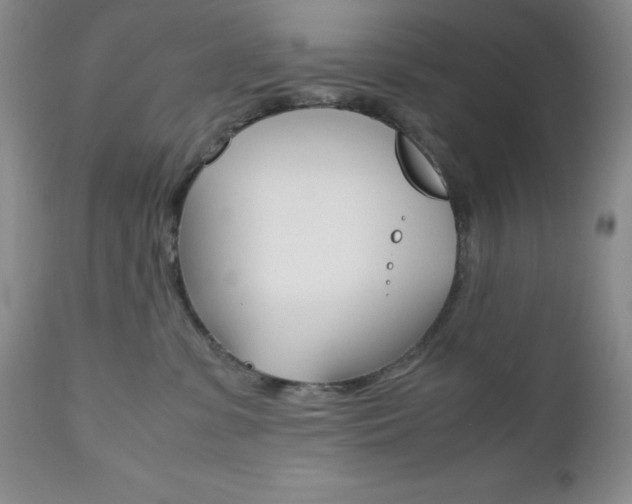 X0000111120331200906301047