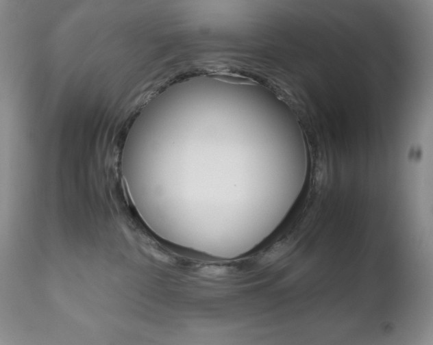 X0000111120332200906301047