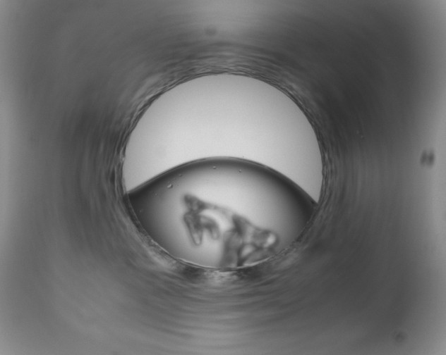 X0000111120333200906301047