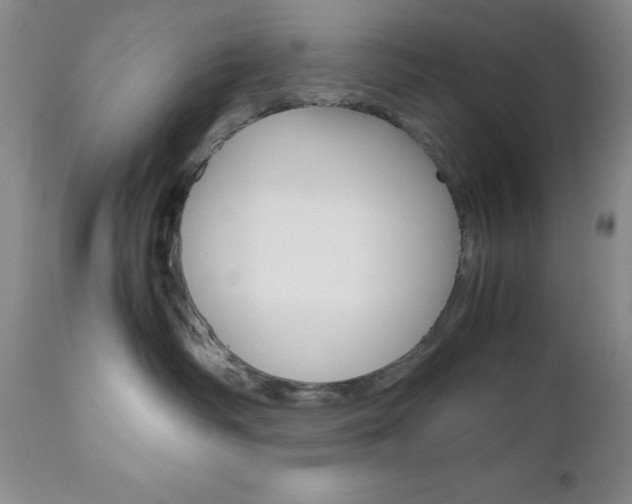 X0000111120334200906301047