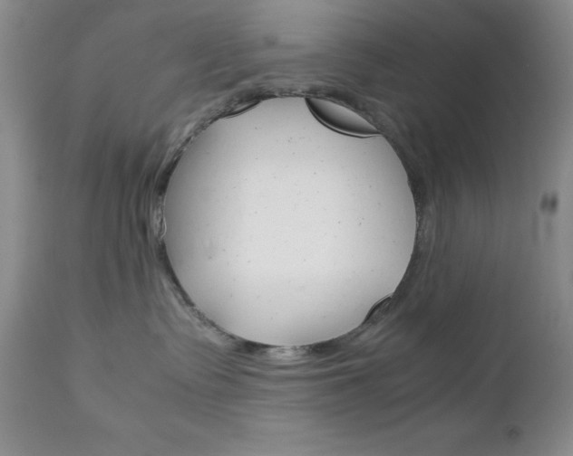 X0000111120335200906301047