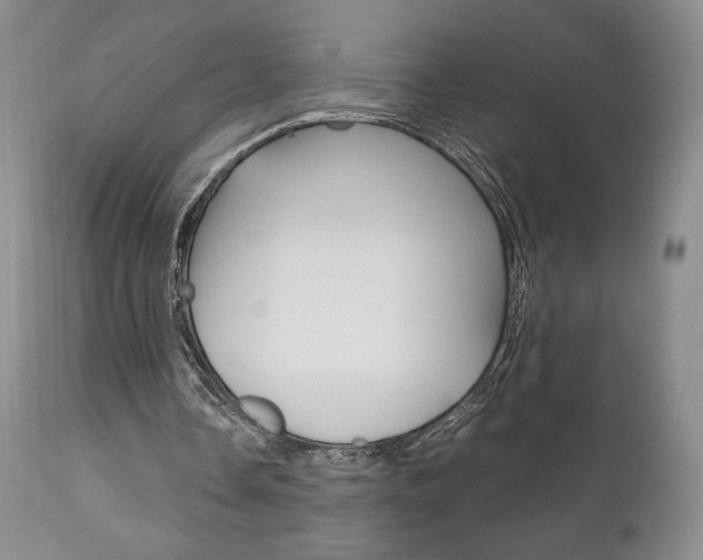 X0000111120338200906301046