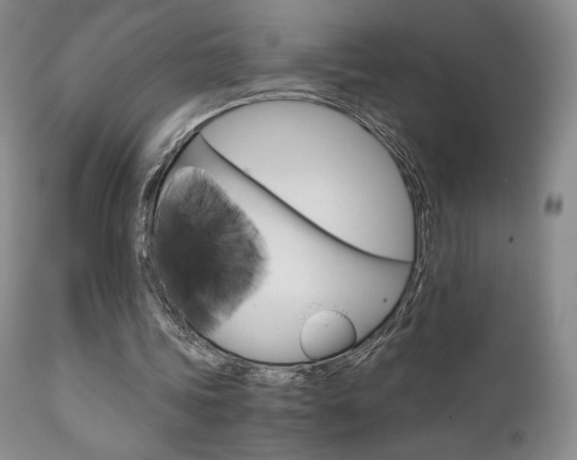 X0000111120339200906301046