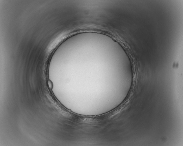 X0000111120341200906301046