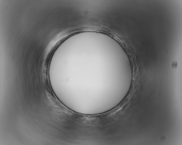 X0000111120343200906301046
