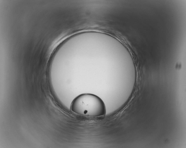 X0000111120344200906301046