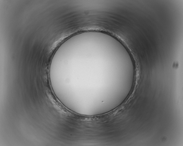X0000111120345200906301046