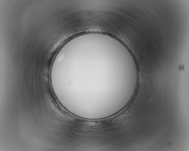 X0000111120347200906301046