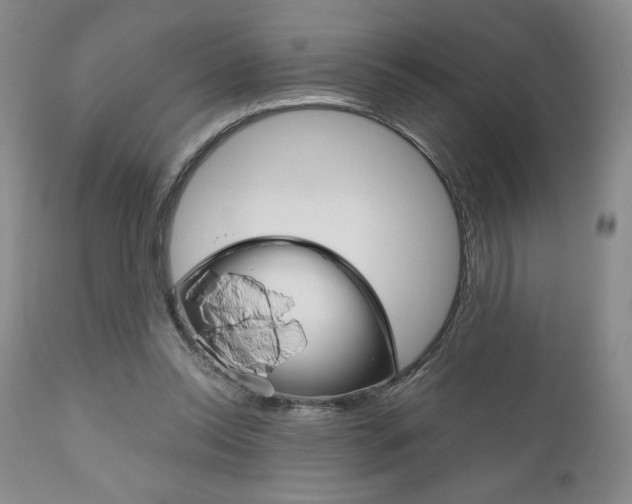 X0000111120350200906301047