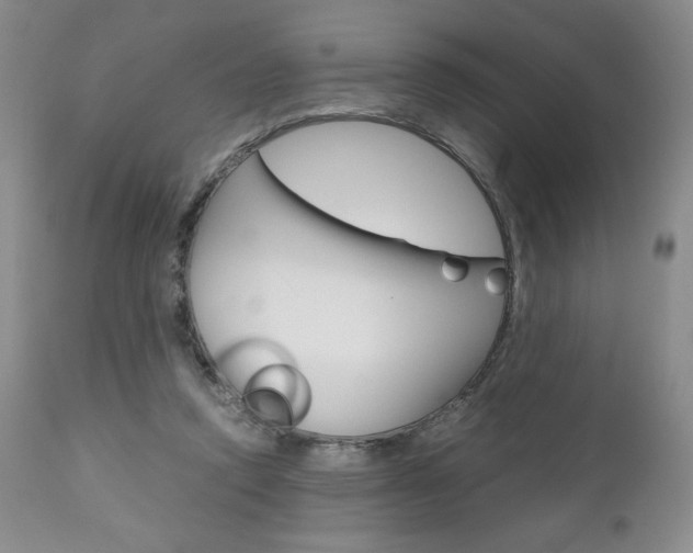 X0000111120354200906301047