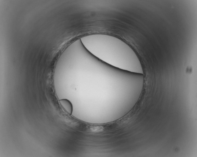 X0000111120355200906301047