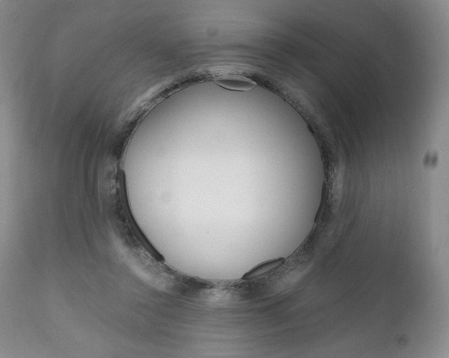 X0000111120356200906301047