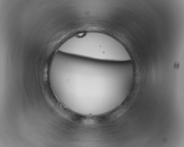 X0000111120358200906301047