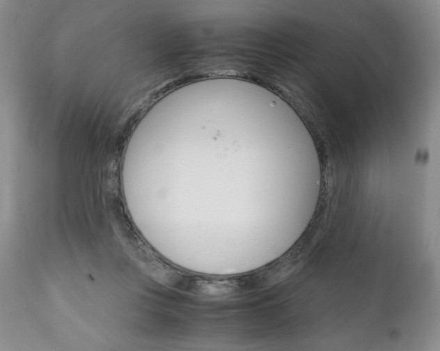 X0000111120359200906301047