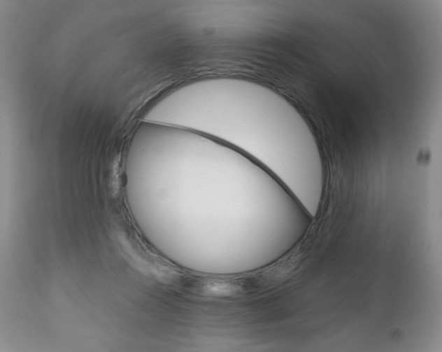 X0000111120360200906301047