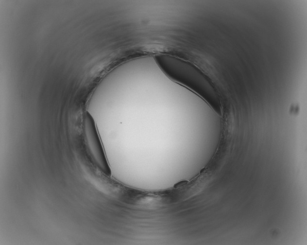 X0000111120364200906301047