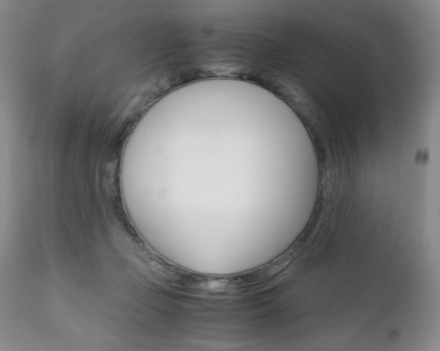 X0000111120365200906301047