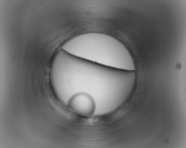 X0000111120366200906301047
