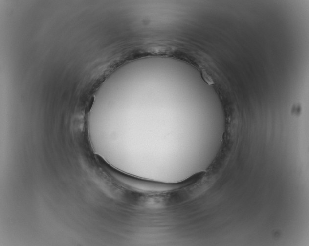 X0000111120368200906301047