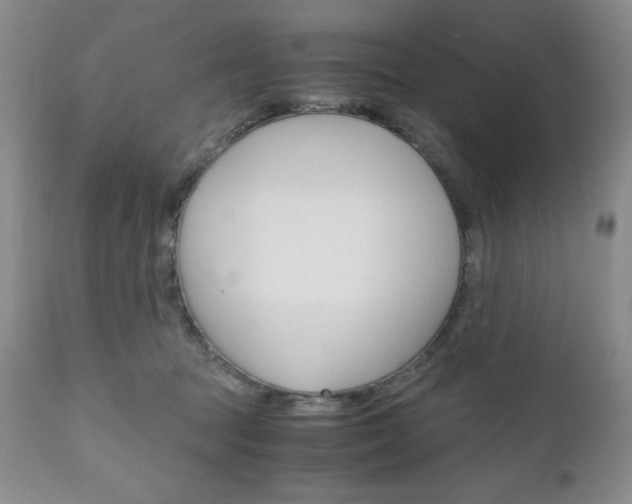 X0000111120369200906301047