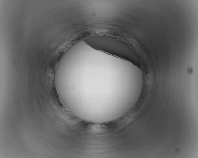 X0000111120372200906301047