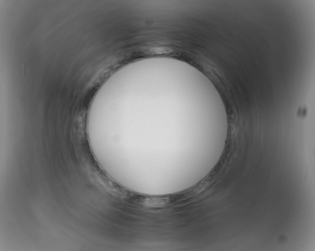 X0000111120373200906301047