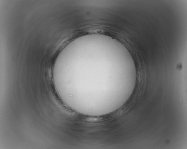 X0000111120375200906301047
