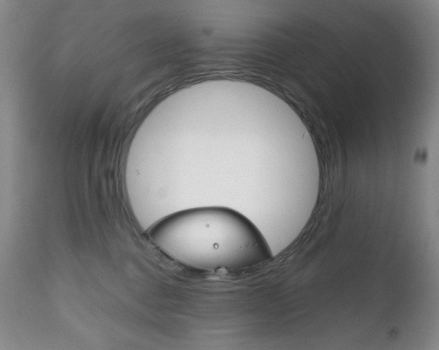 X0000111120376200906301047
