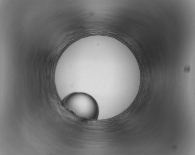 X0000111120380200906301047