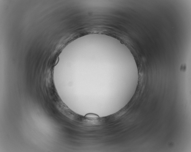 X0000111120381200906301047