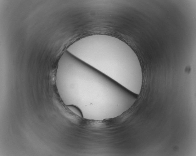 X0000111120383200906301047