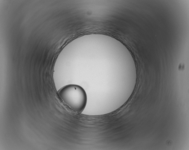 X0000111120384200906301047