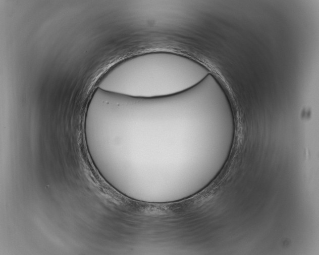 X0000111120386200906301046