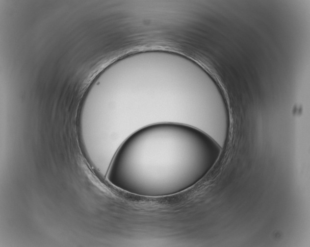 X0000111120389200906301046