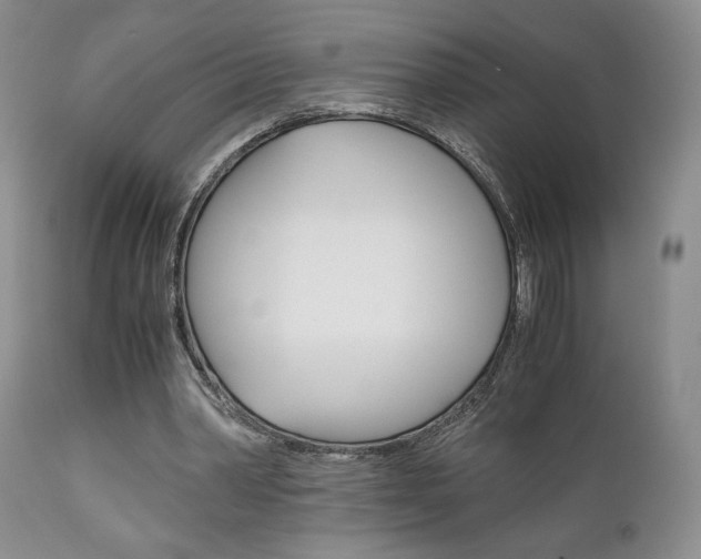 X0000111120390200906301046