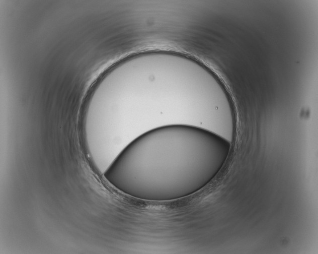 X0000111120391200906301046