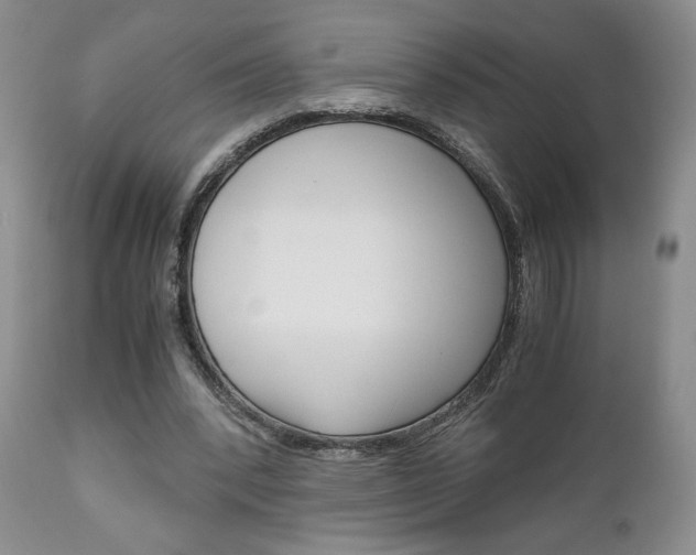 X0000111120392200906301046