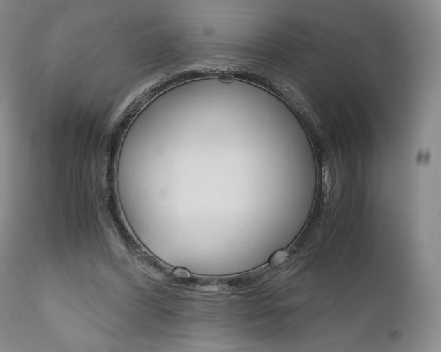 X0000111120396200906301046