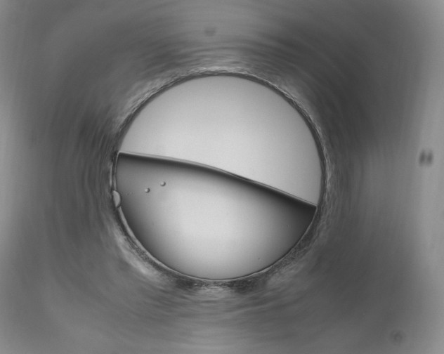 X0000111120397200906301046