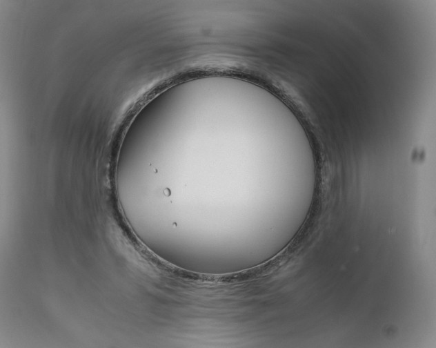 X0000111120399200906301046