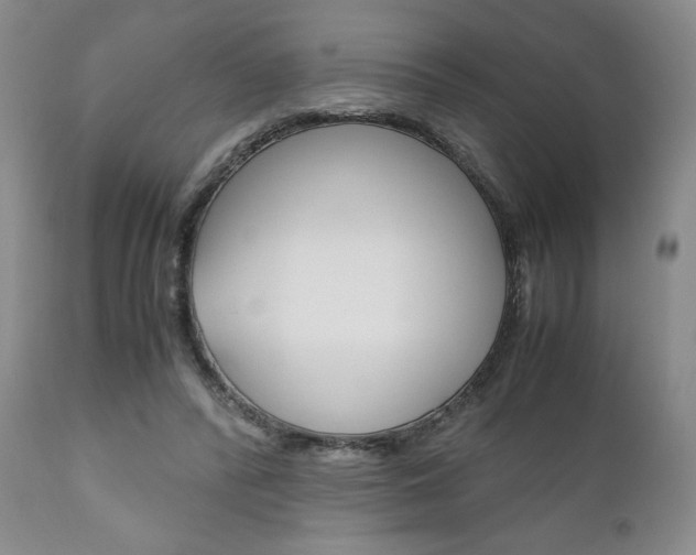 X0000111120400200906301046