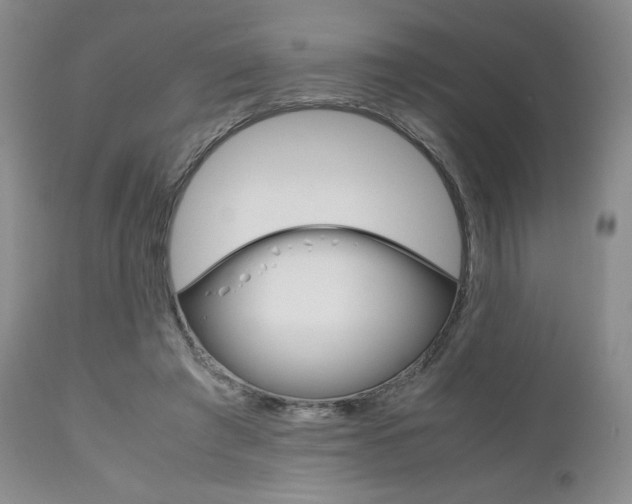 X0000111120401200906301046