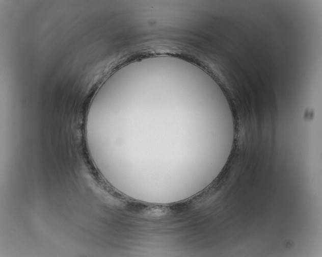 X0000111120402200906301046