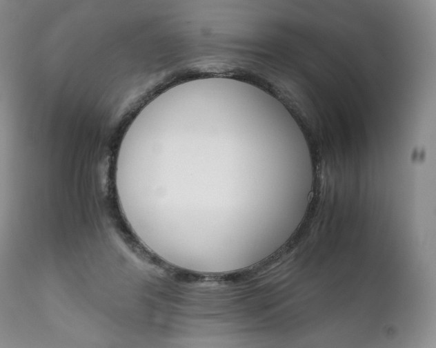 X0000111120404200906301046