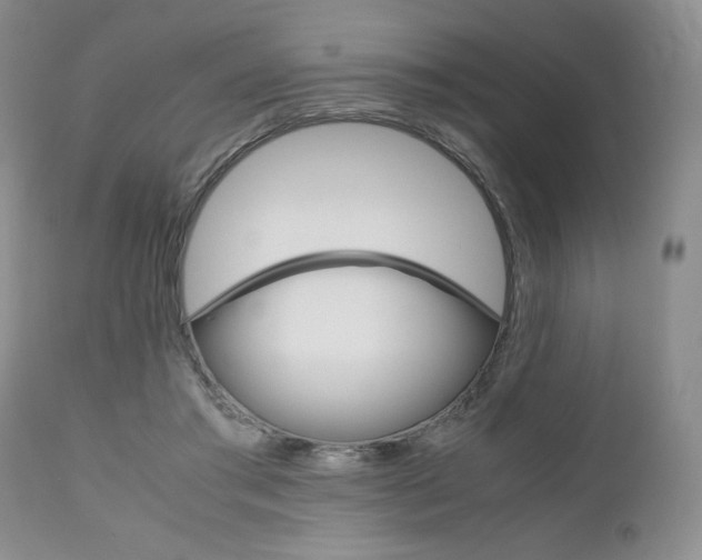 X0000111120405200906301046
