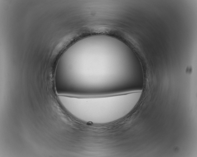X0000111120407200906301046