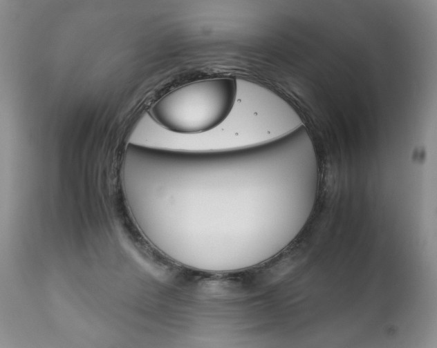 X0000111120408200906301046