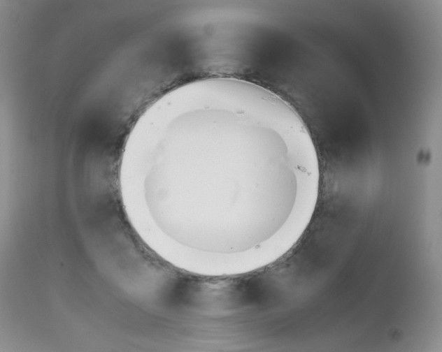 X0000111120411200906301046